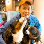 David stead - @dav_1400 - Instagram