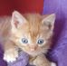 David Stead - Facebook