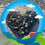 David Steele - @david.steele.79219754 - Instagram