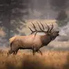 David Steele - @david.steele06 - TikTok