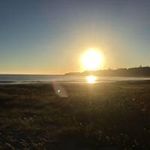 David Steere - @david.steere - Instagram