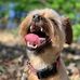 David Steigerwald - Facebook