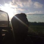 David Steinke - @steinke_david - Instagram