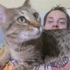 davidstephens528 - @davidstephens528 - TikTok
