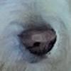 david.sterner15 - @david.sterner1 - TikTok