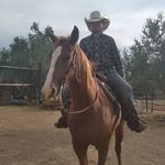 David Stidham - @david_likes_turtles - Instagram