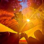 David Stidham - @david_stidman - Instagram