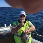 David stiff - @david.stiff.53 - Instagram