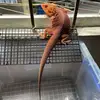David Stiff - @david.stifff - TikTok