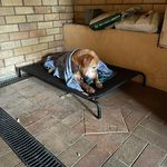 David Still - @david.still - Instagram