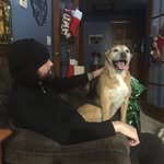 David stiltner - @stiltner978 - Instagram