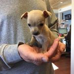 David A Stinebaugh - @davestiney - Instagram