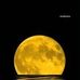David Stino - Facebook