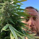 David Stirrat - @davestirrat - Instagram