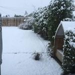 David Stirrat - @ayrmail587 - Instagram