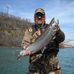 Dave Stites - Facebook