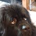 David Stitz - Facebook