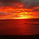 David Stitz - @morty_5609 - Instagram