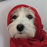 David Stitzer - @david_stitzer - Instagram