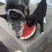 David Stitzel - Facebook