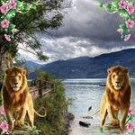 David Stiversste - @davidstiversste - Instagram