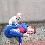 davidstobbe - @david_sto33 - Instagram