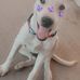 David Stollmeyer - Facebook