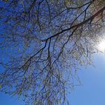 David Stolper - @davidstolper - Instagram