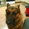 David Stoltz - @david.stoltz97 - TikTok
