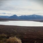David Stoltzfus - @dstoltzfus1983 - Instagram