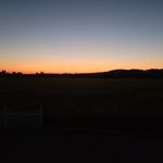 David stoltzfus - @romeoacres - Instagram