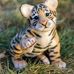 David Stoneham - Facebook