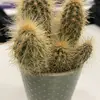 davidstoneham775 - @davidstoneham775 - TikTok