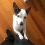 @david_stoneman_ - Instagram