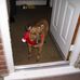 David Stonham - Facebook