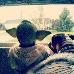 David Stoops - @stoopaloop - Instagram