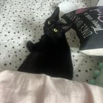 David Stoops - @stoops533 - Instagram