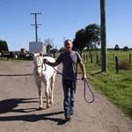 David Stopperton - @davidstopperton - Instagram