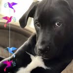 David Storaasli - Facebook