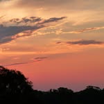 David Storer - @david.storer.3511 - Instagram