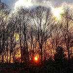 David Stossel - @stosseldavid - Instagram