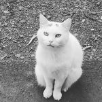 David stotz - @davidstotz2004 - Instagram
