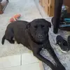 David Stoutenburg - @david.stoutenburg - TikTok