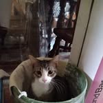 David Stoyer - @david_stoyer - Instagram