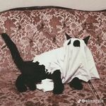 $whackd - @davidstoykov - Instagram