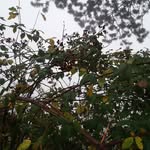 David - @davidsonnenstrahl - Instagram