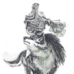 David Strahl - @wolf_link89 - Instagram