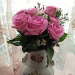 David Straiton - @david_straiton12 - Instagram