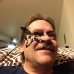 David Strandlien - @strandliend - Instagram