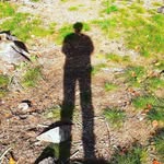 David Stransky - @david55455 - Instagram
